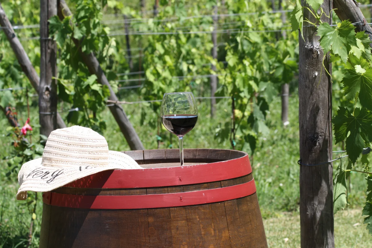 Winery & Wine-Tasting