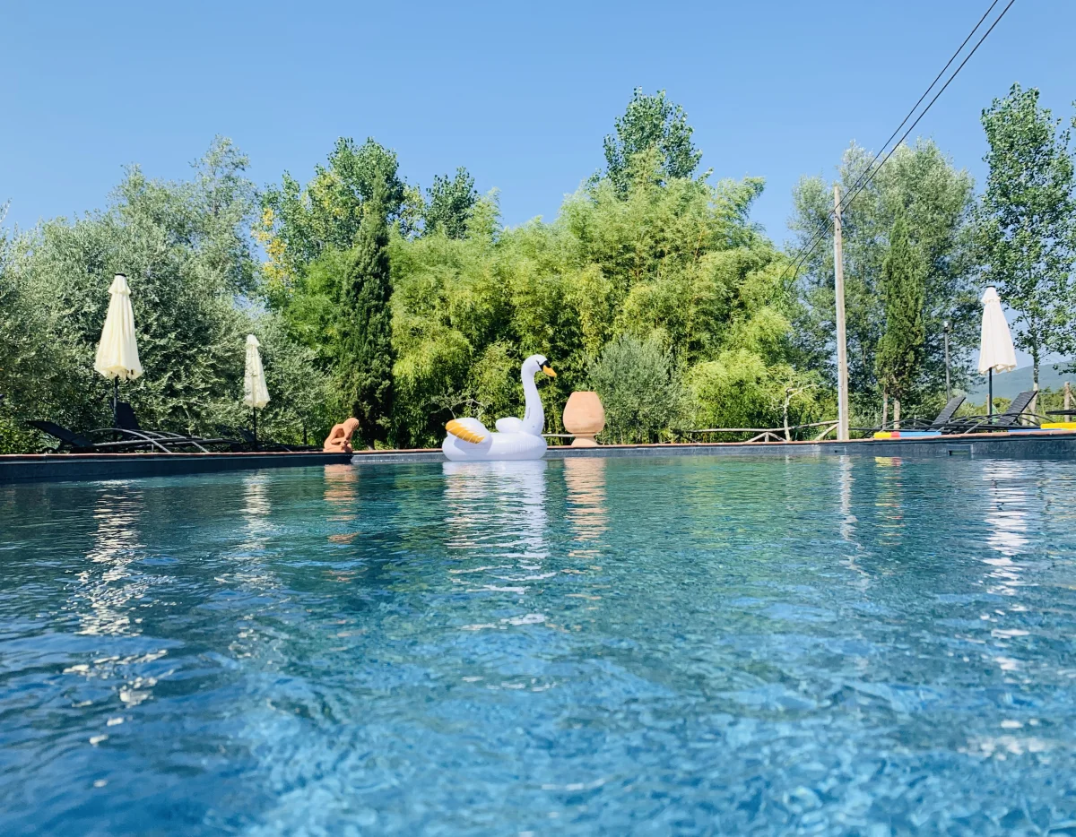 Piscina immersa nel verde